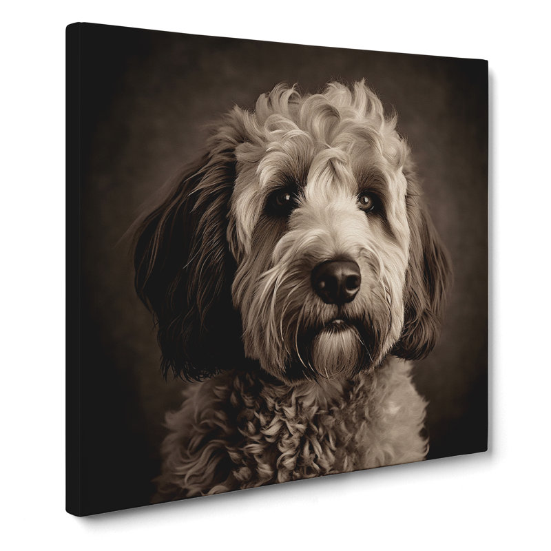 Labradoodle Photograph - No Frame Print, 50cm H x 50cm W x 3cm D
