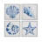 Shells Framed Canvas s/4