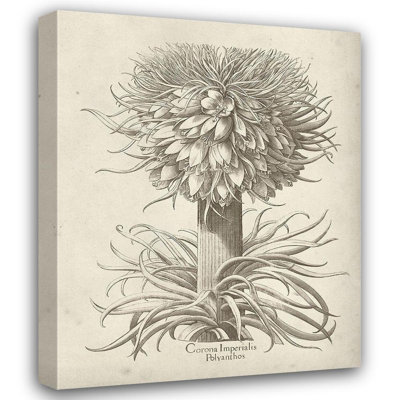 Art sur toile tendue Red Barrel Studio® Vision Studio Gallery: Fresco Crown Imperial I