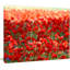 Thick Red Poppy Flower Field - Reproduction de photo sur toile tendue-19410049-33311304