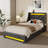 Upholstered Platform Bed Frame with Wingback Headboard & LED Lights& 4 Storage Drawers-966201852-966201854