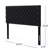 Charcoal Grey Upholstered Headboard For Queen Size Bed, Elegant Contemporary Hue-1312185924