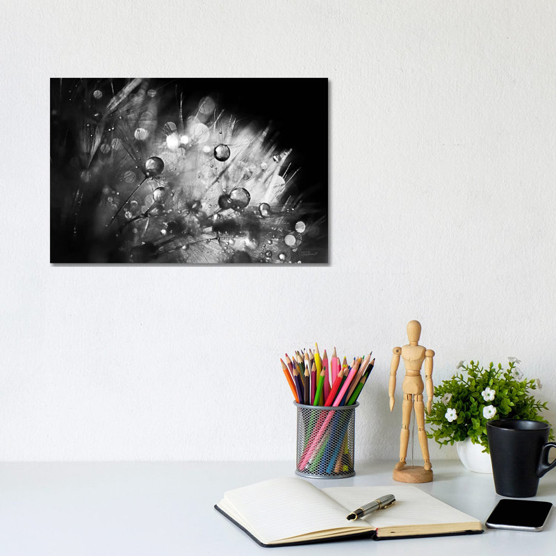 Dandelion Abstract I by Laura Marshall - Wrapped Canvas Gallery-Wrapped Canvas Giclée, 20.32 cm H x 30.48 cm W