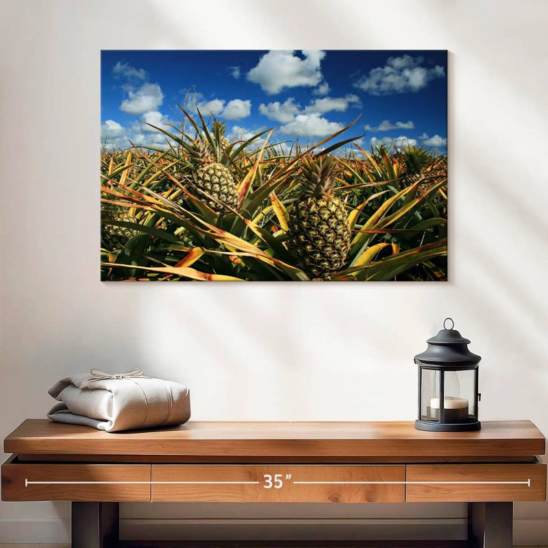 Ananas de Yarlin, Thaïlande, H 16 po x l 24 po