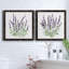 Lavande botanique I - ensemble de 2 peintures sur toile encadrées-2026641883-2026641856