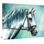 «Gris cheval sur fond bleu», reproduction d'art-34273721-34273928