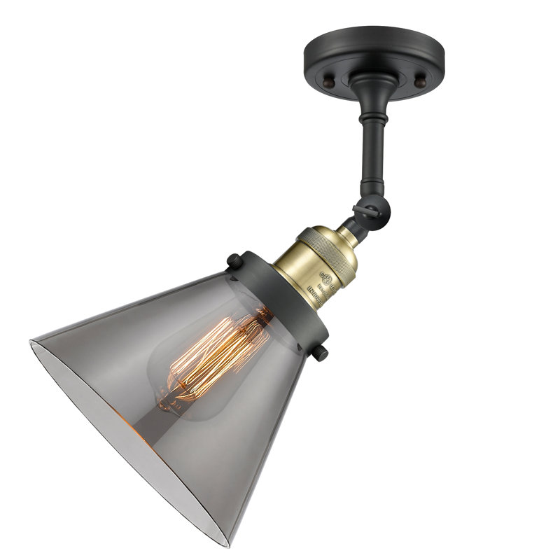 Cone 2 Light Tiltable Bath Vanity Light, Smoked, Black Antique Brass, Bulb Not Included