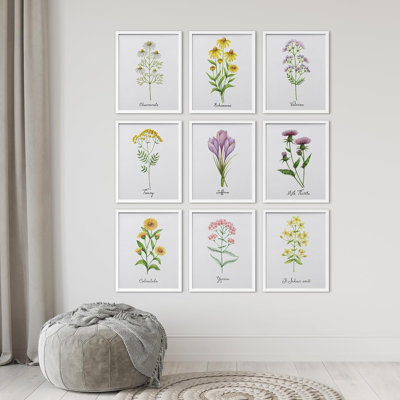 " Green Watercolor Plant Variety Nature Wildernesss Modern Art Chic Colorful " 9 Piece Art Graphic Art Print