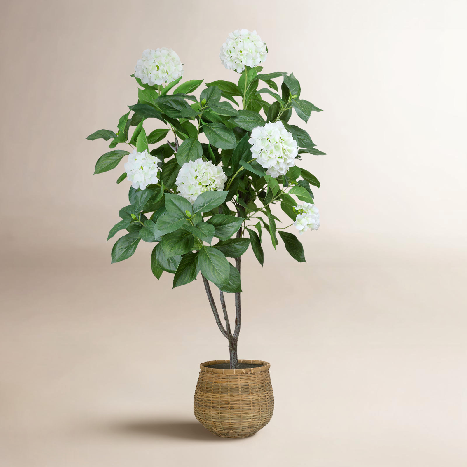 Danao City 59" Hydrangea Tree in Pot