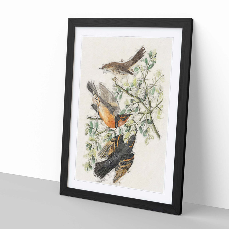 Thrush & Mountain Mocking Birds by John Audubon - Picture Frame Painting Print, 65cm H x 48cm W x 2cm D, Black Framed
