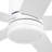 Graceshire 60" White Ceiling Fan with LED Light and Remote-122613081-122613082