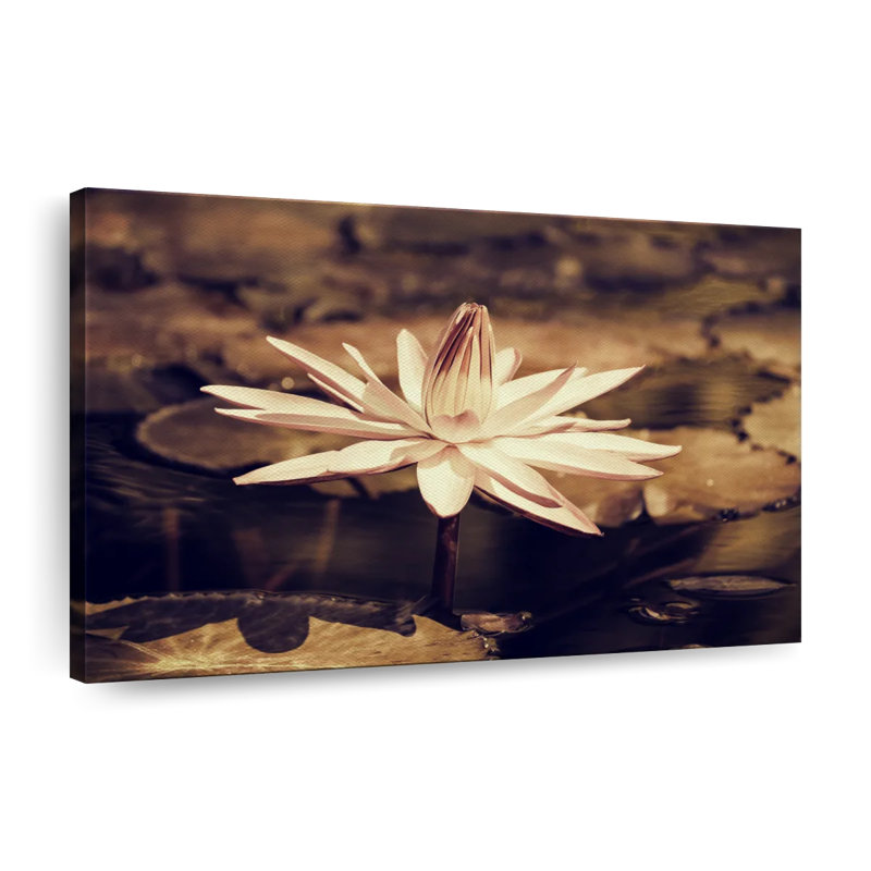 Impression sur toile de lotus sépia, H 8 po x l 12 po x P 1 po