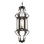 Patrick 4 - Light Chandelier