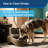 PetSafe Drinkwell Outdoor Dog Pet Fountain