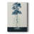 Bottled Lace I -Gallery Wrapped Cavas-1139630759