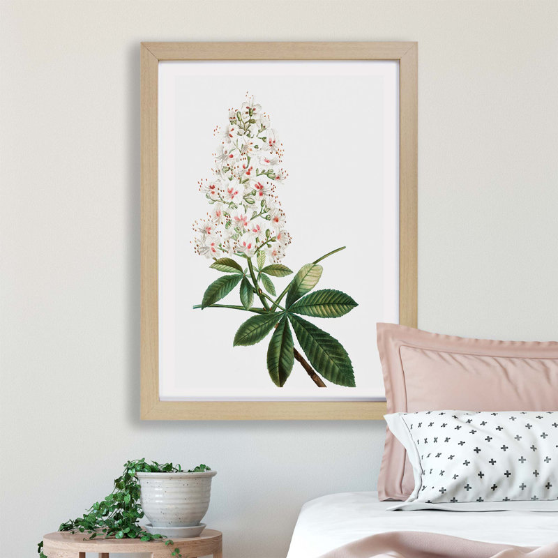 Horse Chestnut Tree Flowers by Pierre-Joseph Redoute - Single Picture Frame Painting, 24cm H x 33cm W x 2cm D, Oak