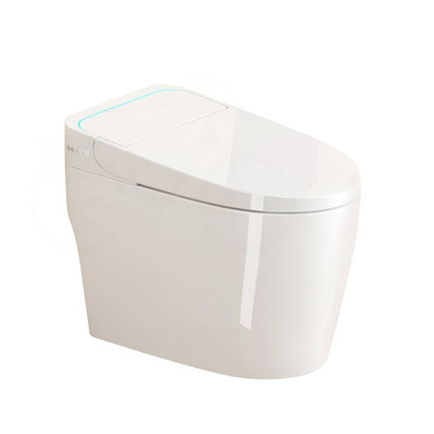 Unique Smart Bidet Toilet with Auto Open/Close and Multiple Washing Modes