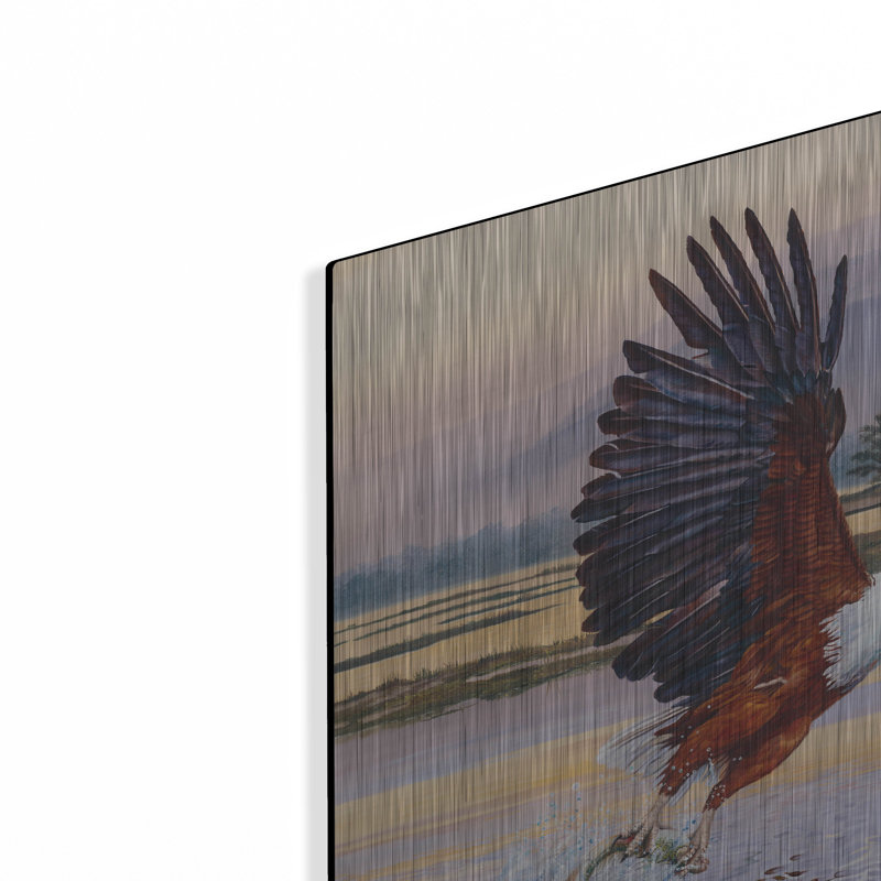  «Where Eagles Dare» par Delene Lambert, art mural en métal, 24 po x 16 po, H 16 po x l 24 po