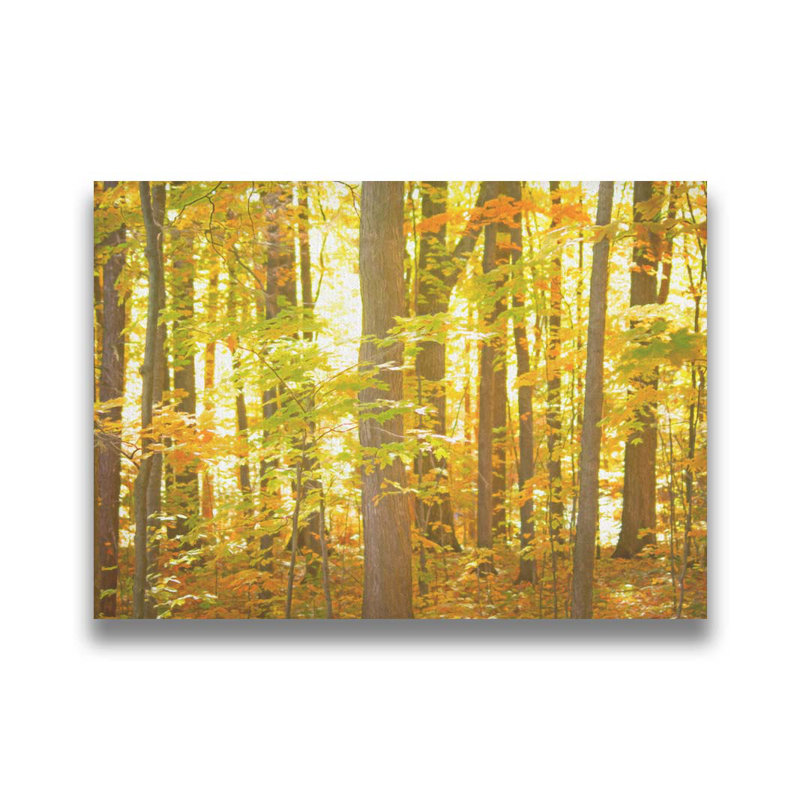 «Autumn Stand» par Hal Halli. Impression sur papier - Montée et encadrée, H 40 po x l 52 po