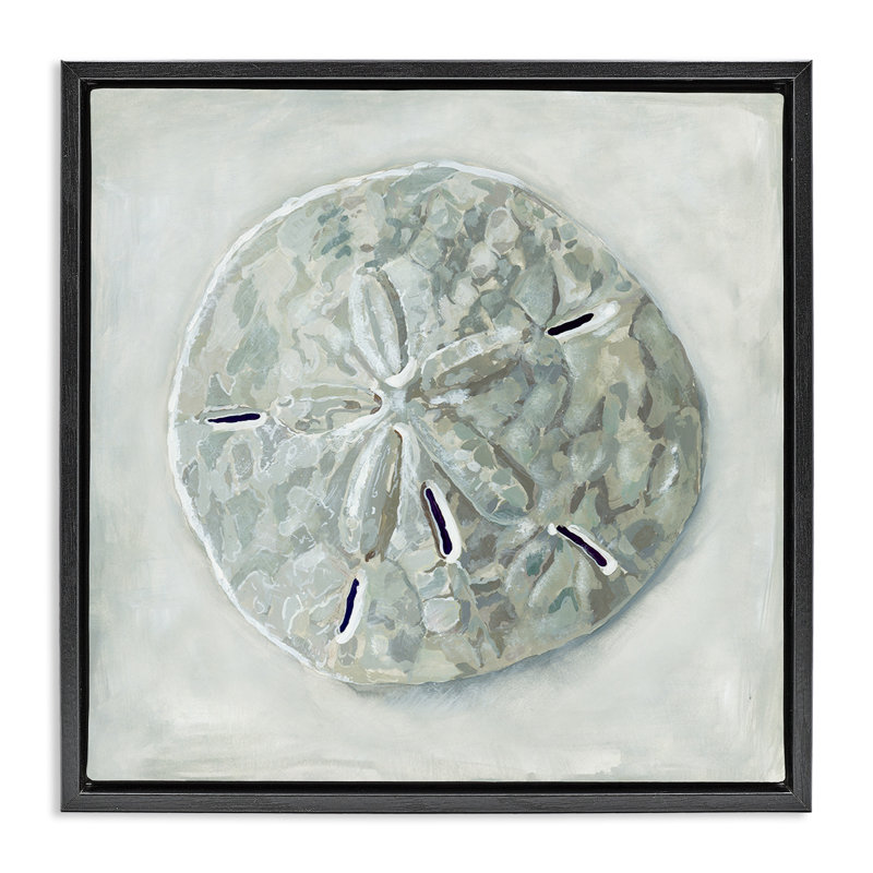 Coquillage gris, Cadre flottant noir de jais, H 25 po x l 25 po