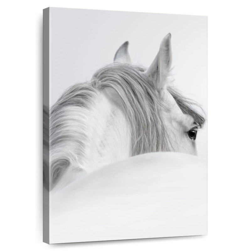 Brampt Gray Haired Horse, 48" H x 32" W