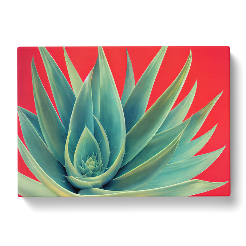 Spellbinding Aloe Vera Plant - Wrapped Canvas, 35cm H x 50cm W x 3cm D