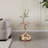 Beldane 14.96'' Console Table