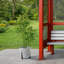 Telisha Pot Planter-112123019-122610399