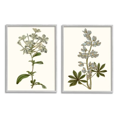 Vintage Illustrated Study of Blue Botanical Florals by Curtis - 2 Piece Graphic Art Print Set -  Stupell Industries, a2-089_gff_2pc_11x14