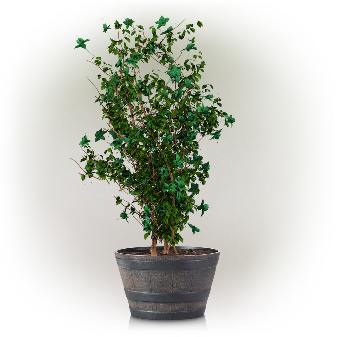 Ramsell Vinyl Barrel Planter Millwood Pines 