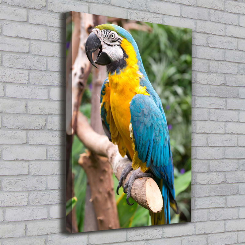 Ara Parrot - Wrapped Canvas Print