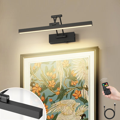 Valisy 15.5" Dimmable 1 - Light  LED Picture Light with Remote, Battery Powered Wall Mount Light with Adjustable Arm