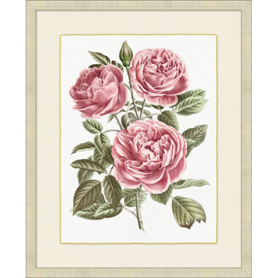 Blush Florals 2 Painting