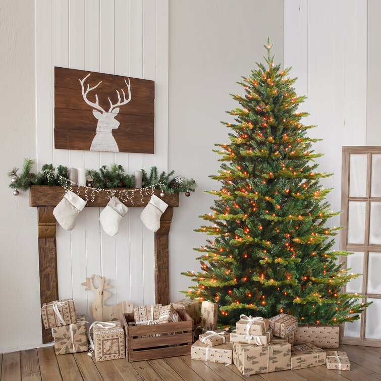 https://assets.wfcdn.com/im/73617427/resize-h755-w755%5Ecompr-r85/1711/171134737/Lighted+Pine+Christmas+Tree.jpg