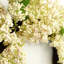 Faux Plastic Wreath-408086000