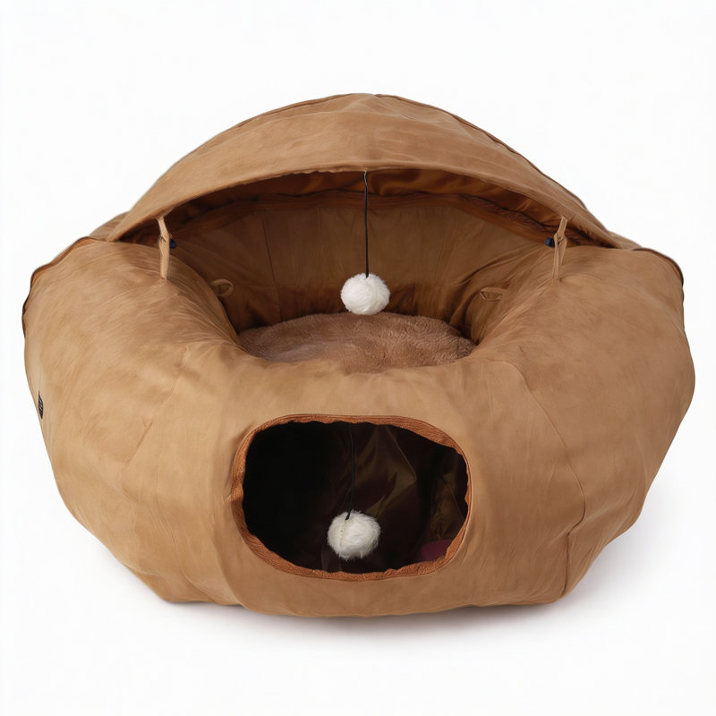 Agneau, chat, beignet, tunnel, brun clair, Tanné