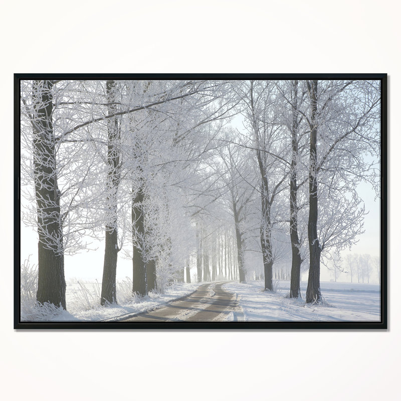 Reproduction de photo sur toile tendue, H 12 po x l 20 po x P 1 po