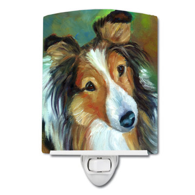 Éclairage de nuit en céramique sheltie curiosité