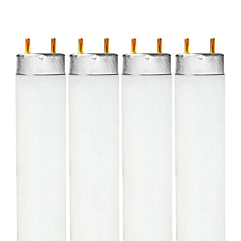 Ampoule fluorescente à intensité variable de 17 watts sans intensité T8, lumière du jour 6500 G13/culot à deux broches