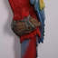 Statue perroquet Ara rouge