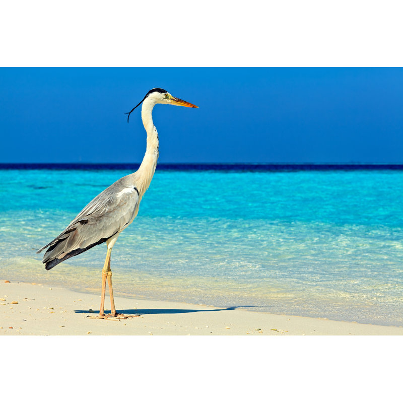 Oiseau posant sur la plage, bleu, sable, H 24 po x l 48 po x P 1,5 po
