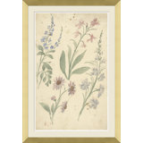 Watercolor Flower Studies Giclee Print by Soicher Marin Archives