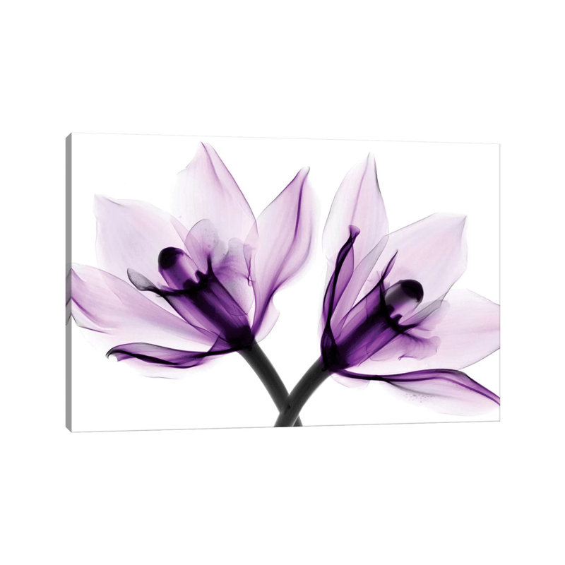 Orchids I by Hong Pham - Print on Canvas, 20.32 cm H x 30.48 cm W, Wrapped Canvas