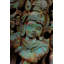 Parvez Taj - Wrapped Canvas Print-16673949