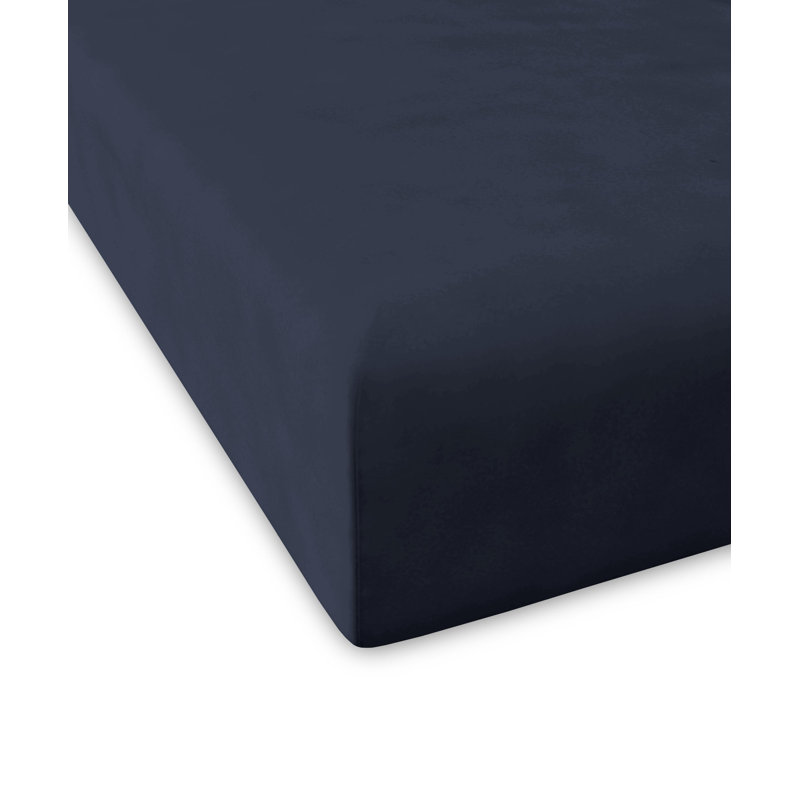 Carder 100% Cotton Percale Fitted Sheet, Navy, 100 x 200 cm