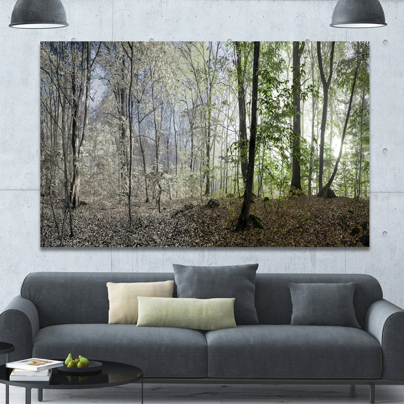 Green Morning Forest Landscape Canvas Art Print, 60" x 40"
