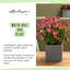 Cube Pot Planter-72790864