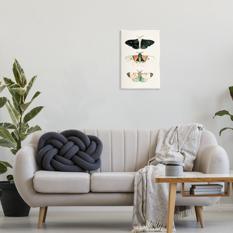 «Assort Moth Trio», art mural par Petal Prints Design, H 19 po x l 13 po