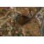 Tapis traditionnel en laine 3 x 5