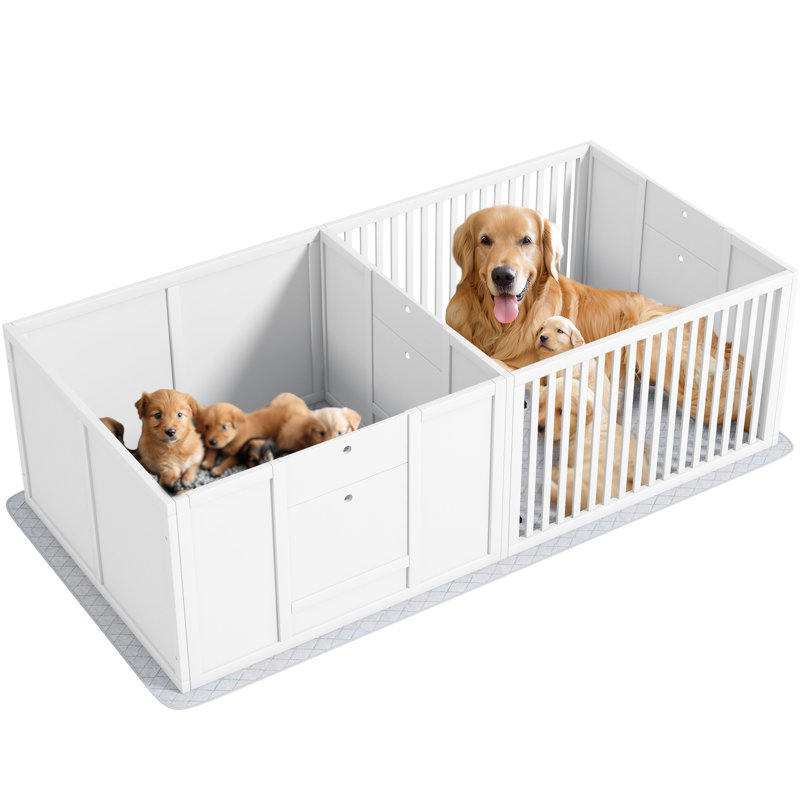 Boîte de mise à l'eau 65,4 "X 31,5" pour chien - Porte ventilée et ajustable, pour chiens de tailles variées de 65 "X 31,5", hygiénique avec coussin, pavillon, différentes races